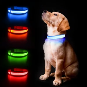 Luminous Dog/Cat Collar Waterpoof